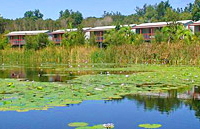 Cottages across lagoon
